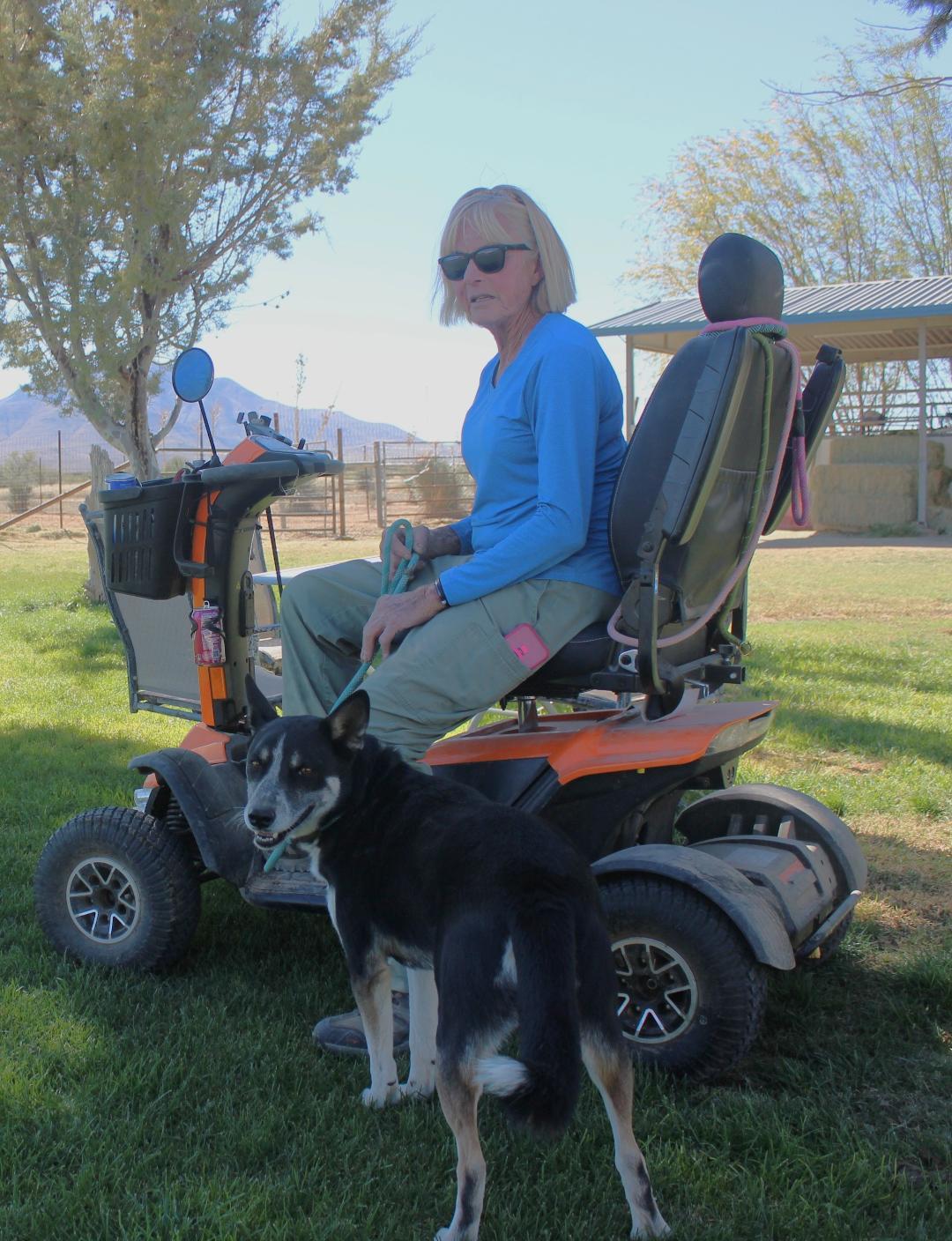 Enlarge RIDER, a Adoptable mixed breed in Pearce, AZ image 3/4