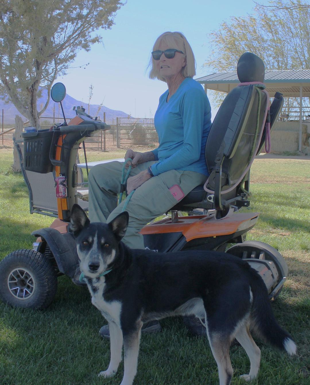 Enlarge RIDER, a Adoptable mixed breed in Pearce, AZ image 2/4