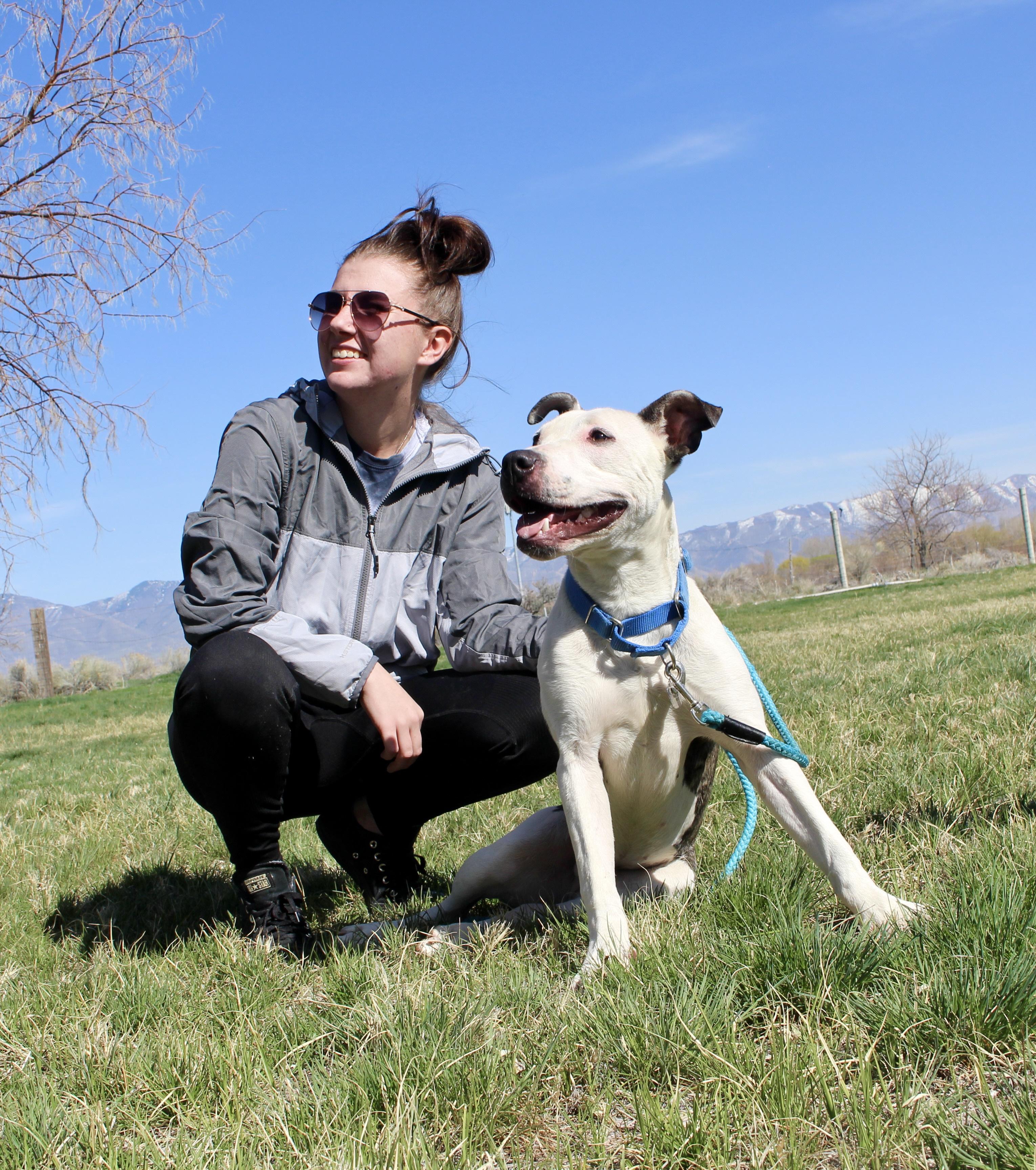 Enlarge Chance, a Adoptable mixed breed in Grantsville, UT image 3/5