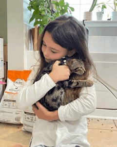 Enlarge Artemis, a Adoptable Domestic Short Hair in Jesup, GA image 5/6