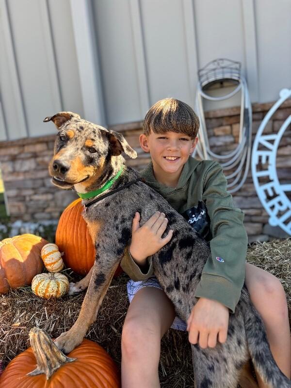 Slone, a Adoptable mixed breed image 4/6