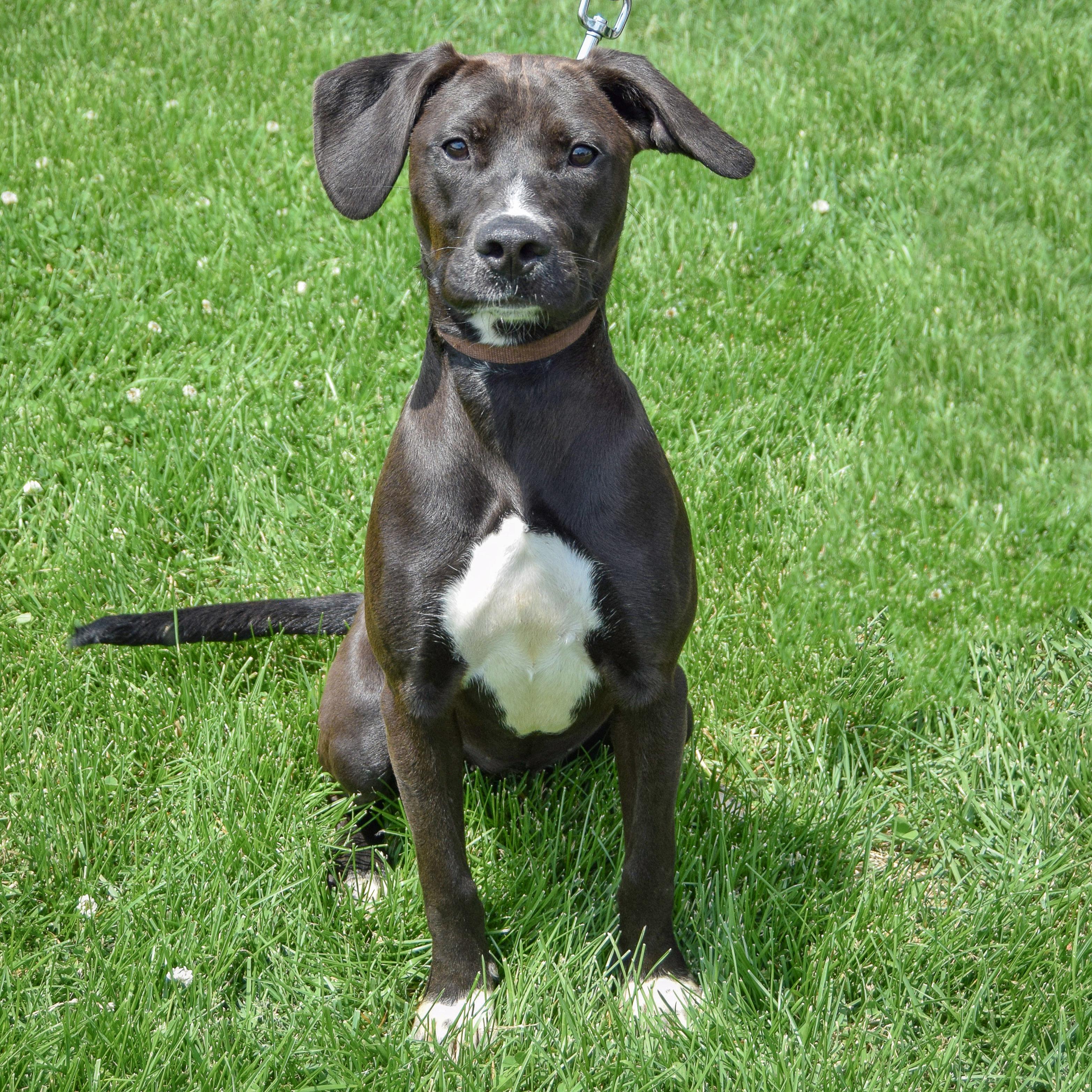 Missy photo 5