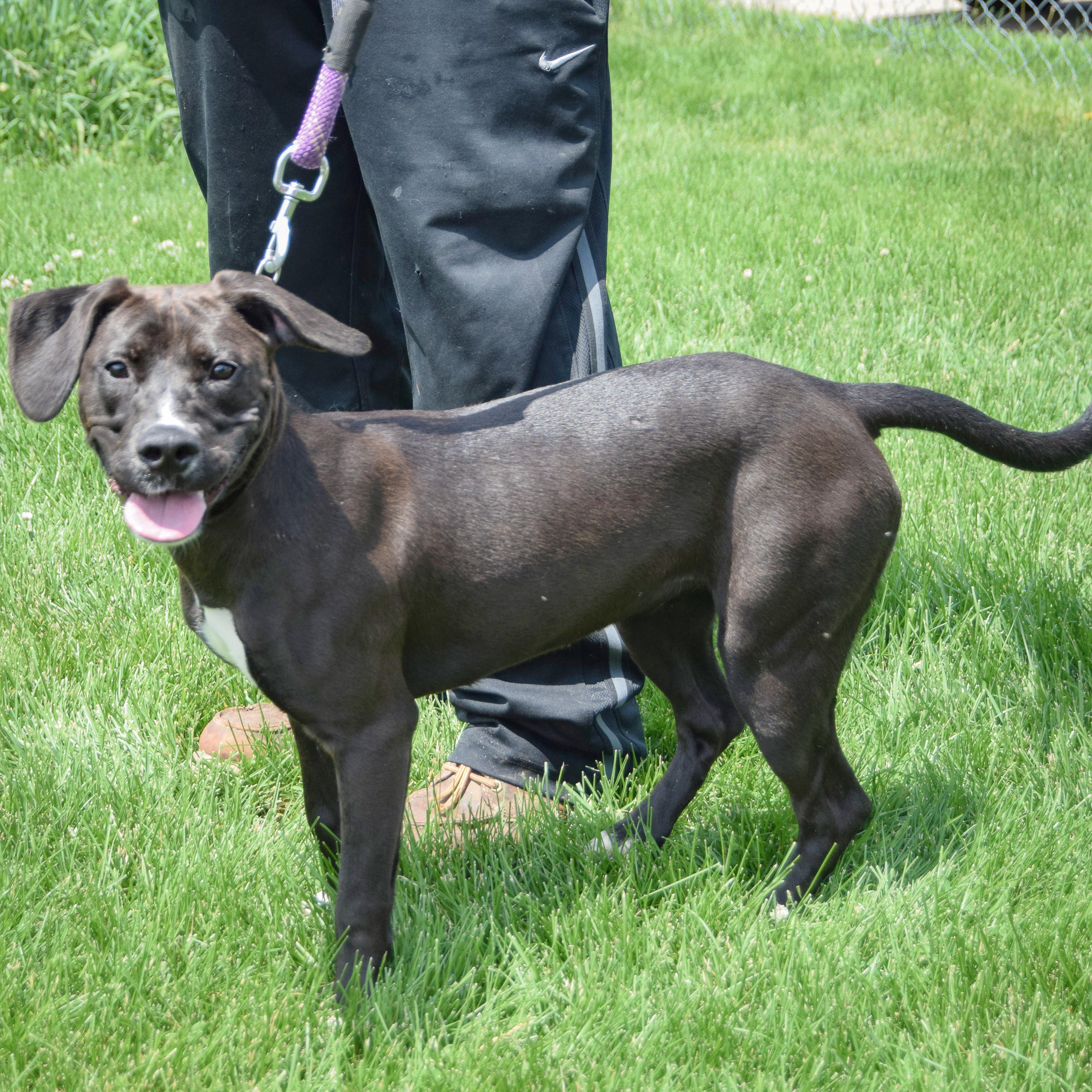 Missy photo 2