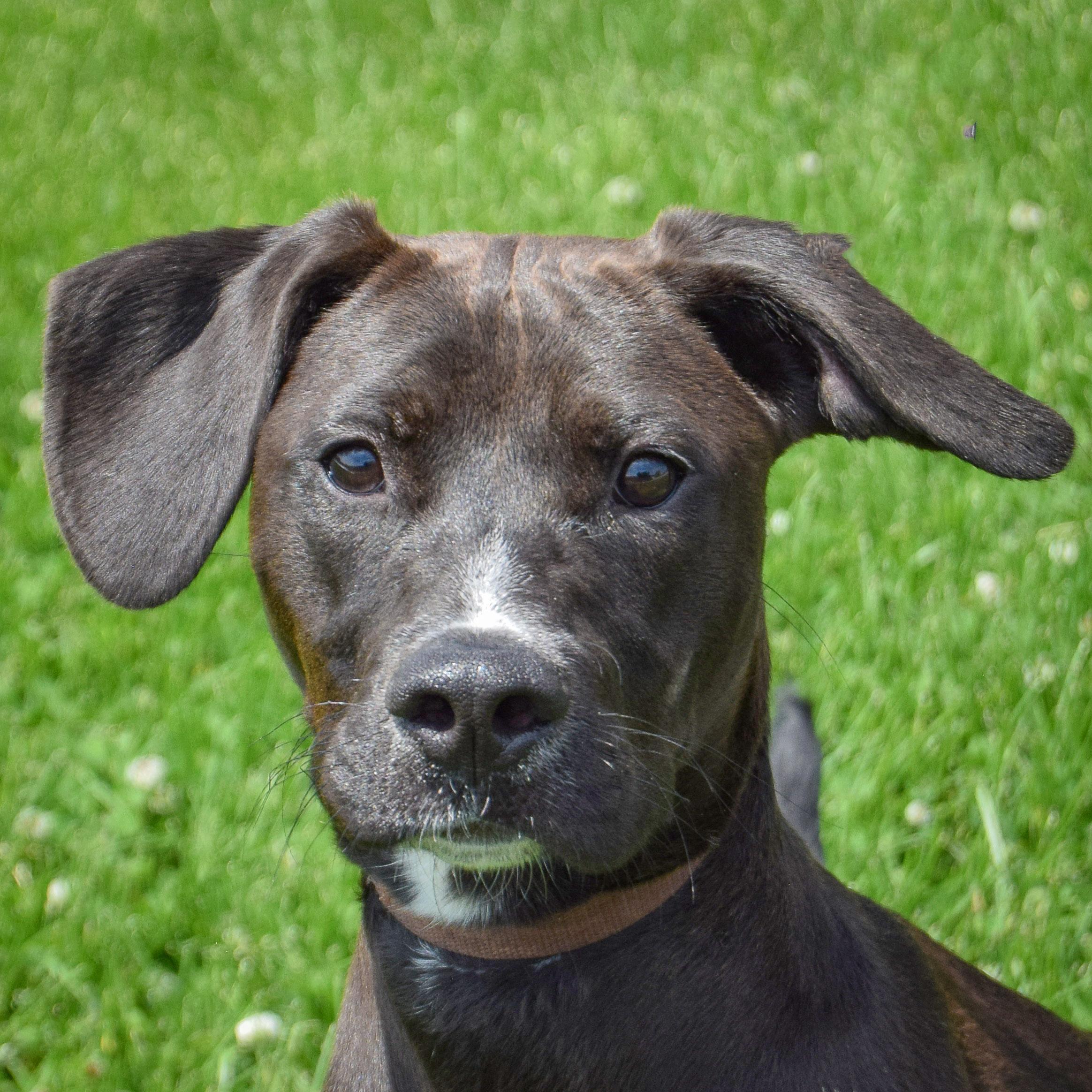 Missy photo 1