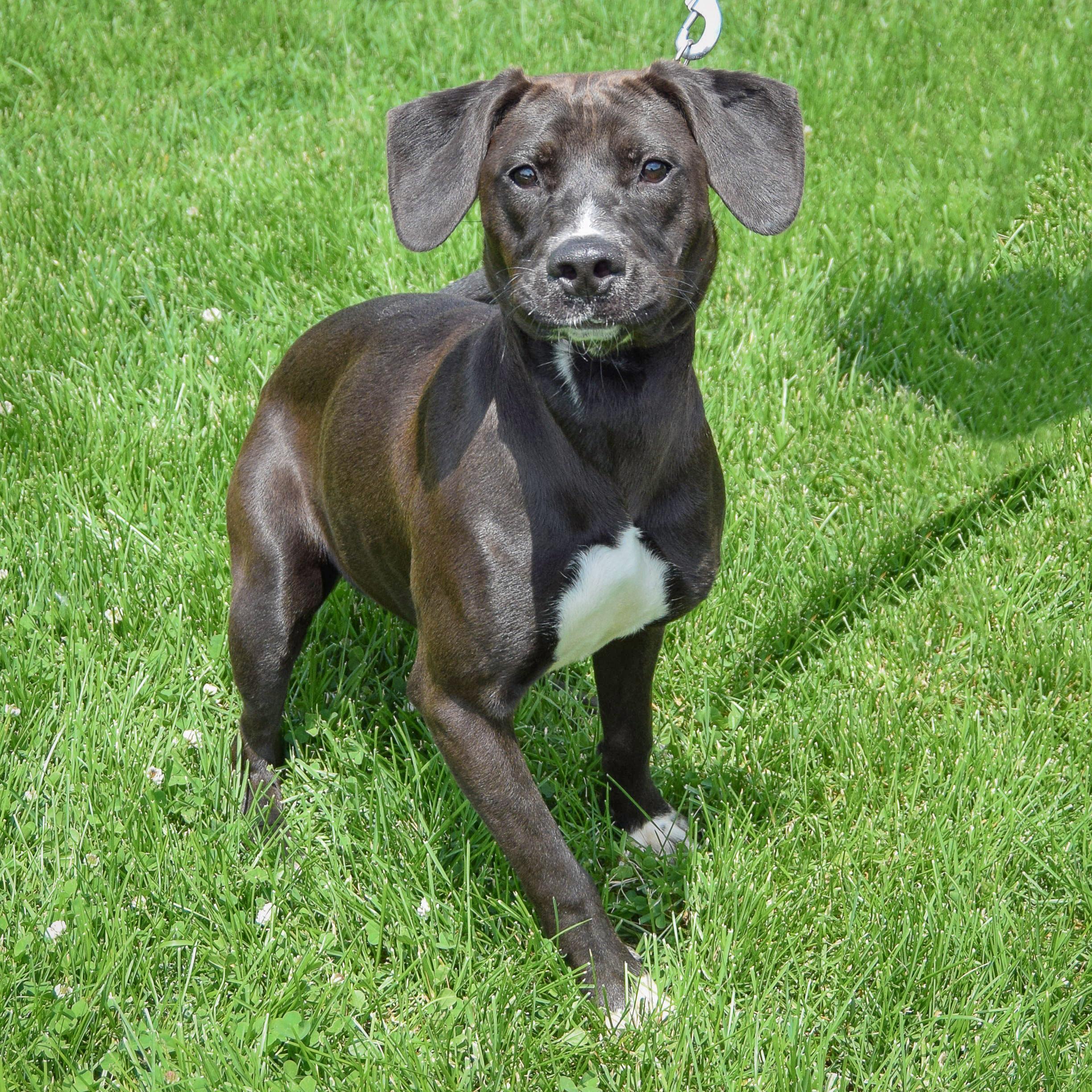 Missy photo 3