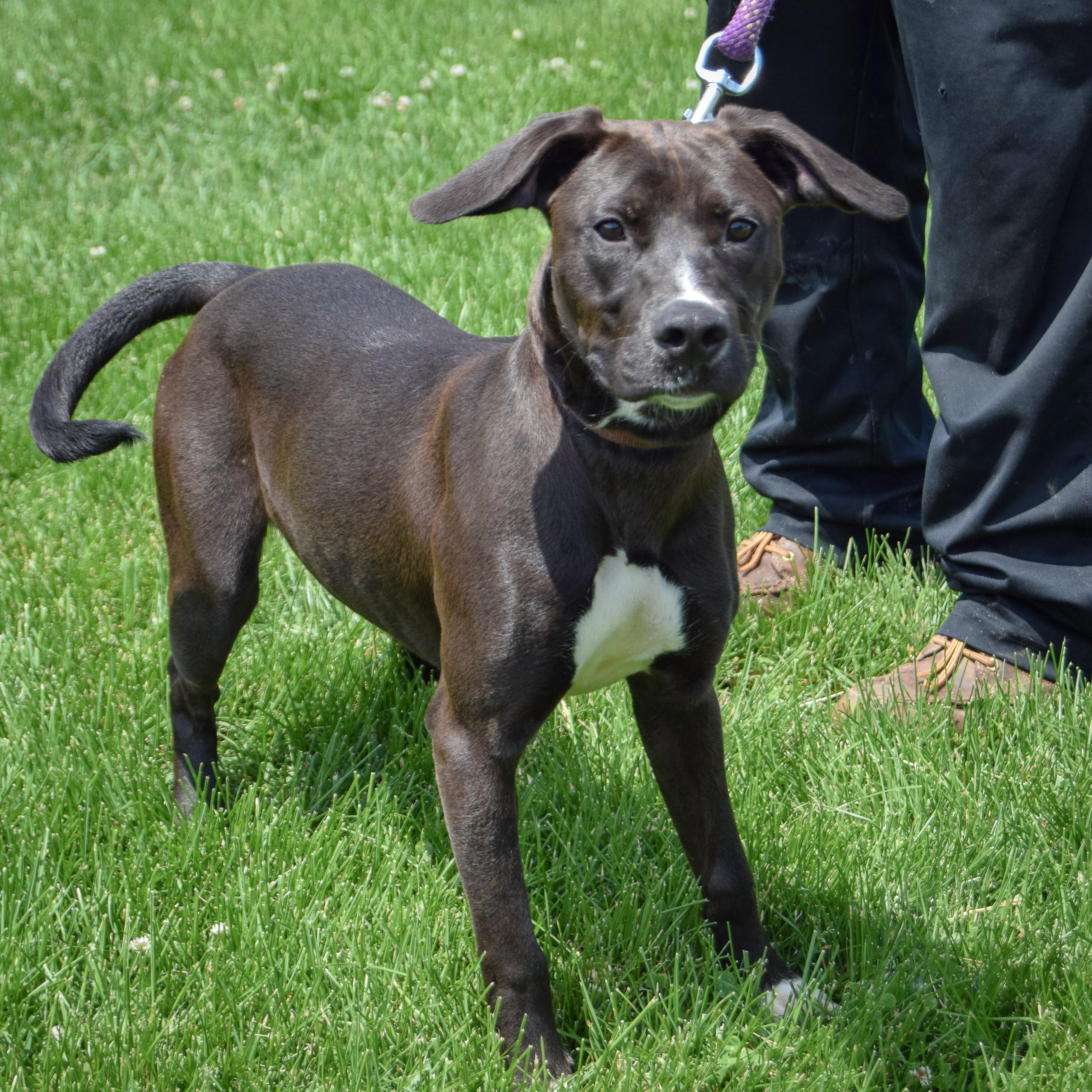 Missy photo 4