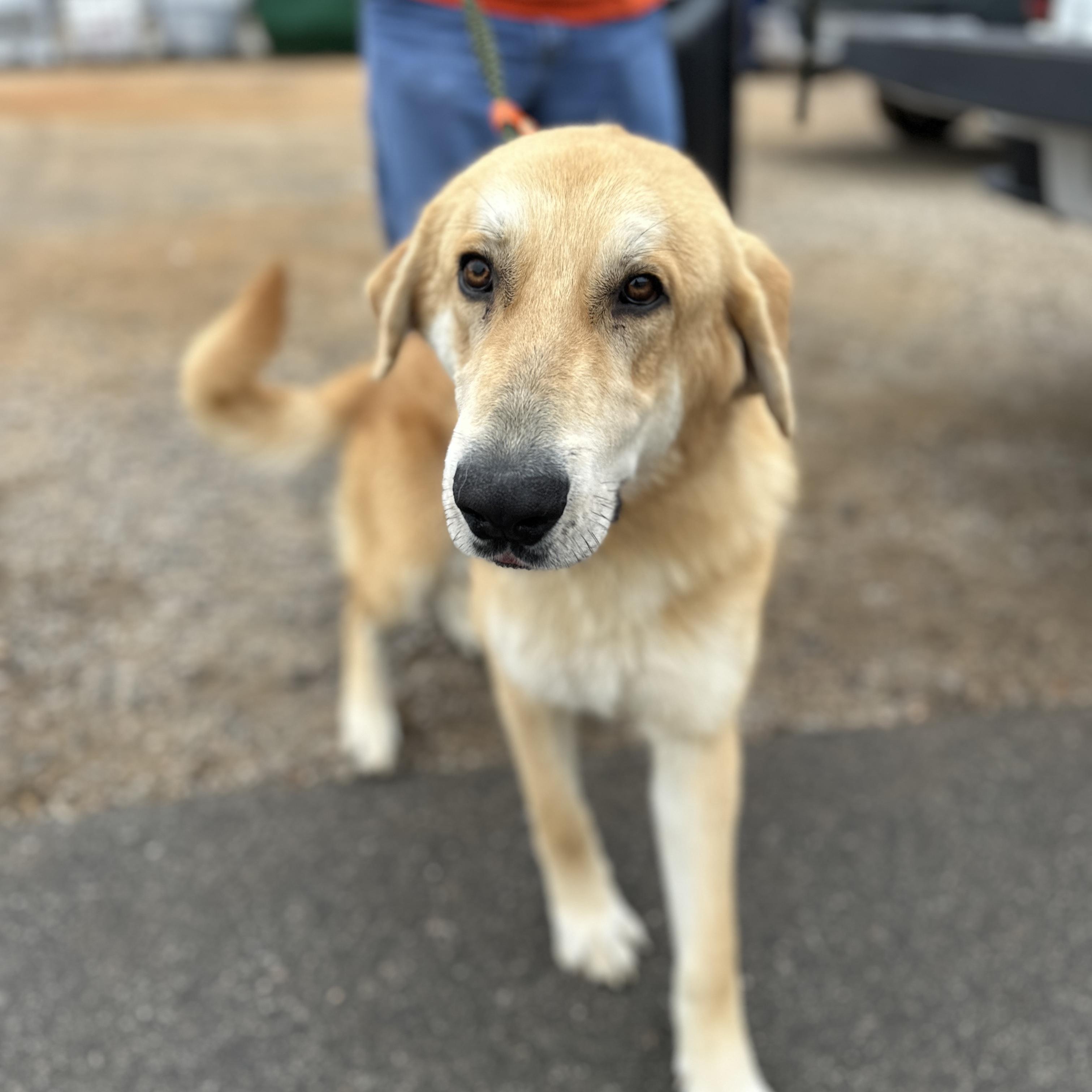 Gargantuan — thumbnail 5