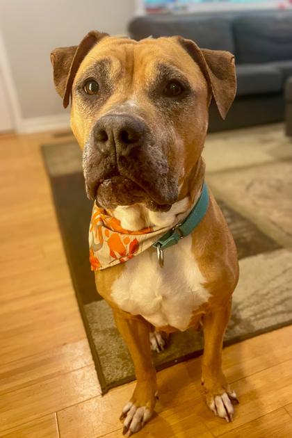 Winifred thumbnail 4