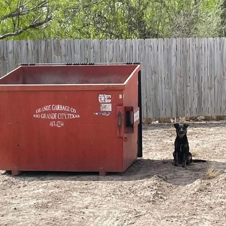 Graham the Dumpster Dog PC