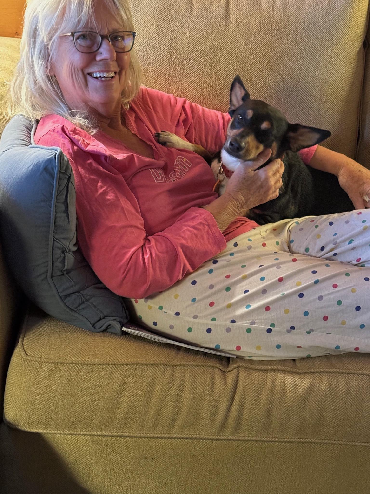 Enlarge Birdie, a Adopted mixed breed in Durango, CO image 6/6