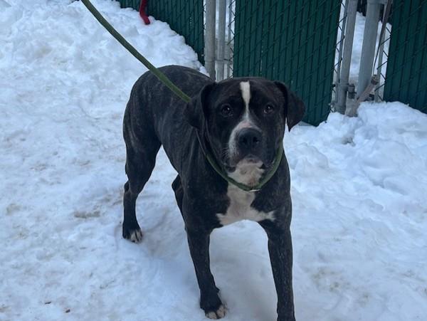 Gailey — thumbnail 4