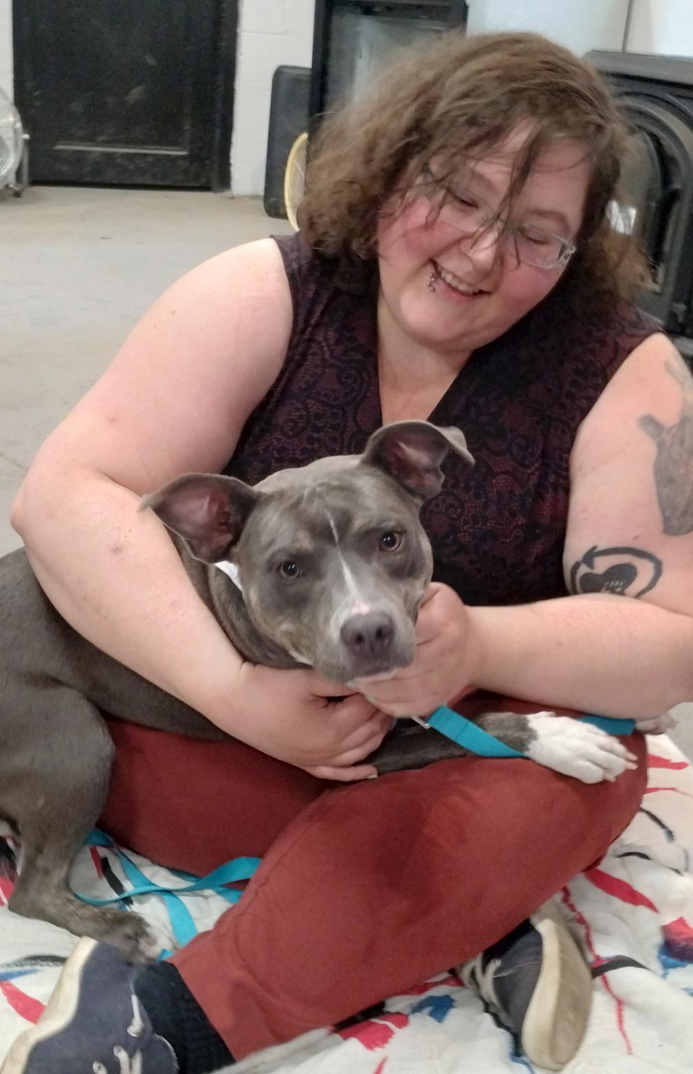 Enlarge Beauty, a ADOPTABLE mixed breed in Benton Harbor, MI image 3/6