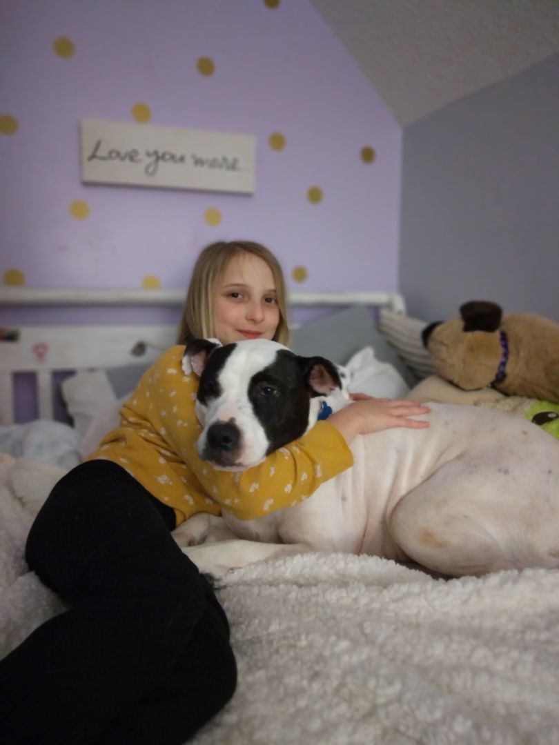 Raylee, a Adopted mixed breed in Clayton, NC image 2/5