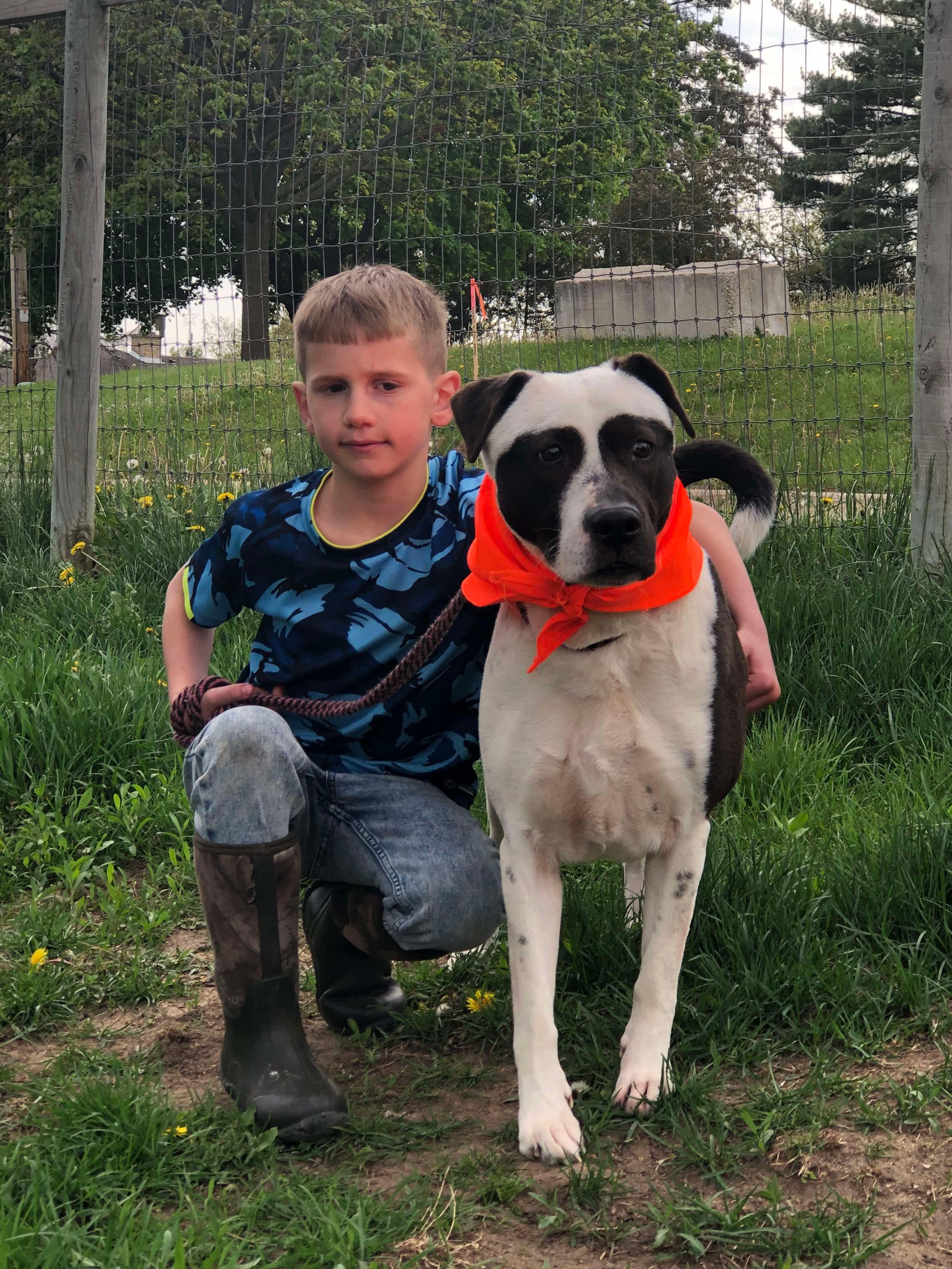 Panda, a Adoptable mixed breed in Fort atkinson, WI image 5/6