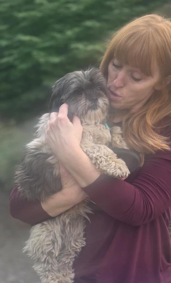 Enlarge Ramona, a Adopted Shih Tzu in Elk, WA image 2/6