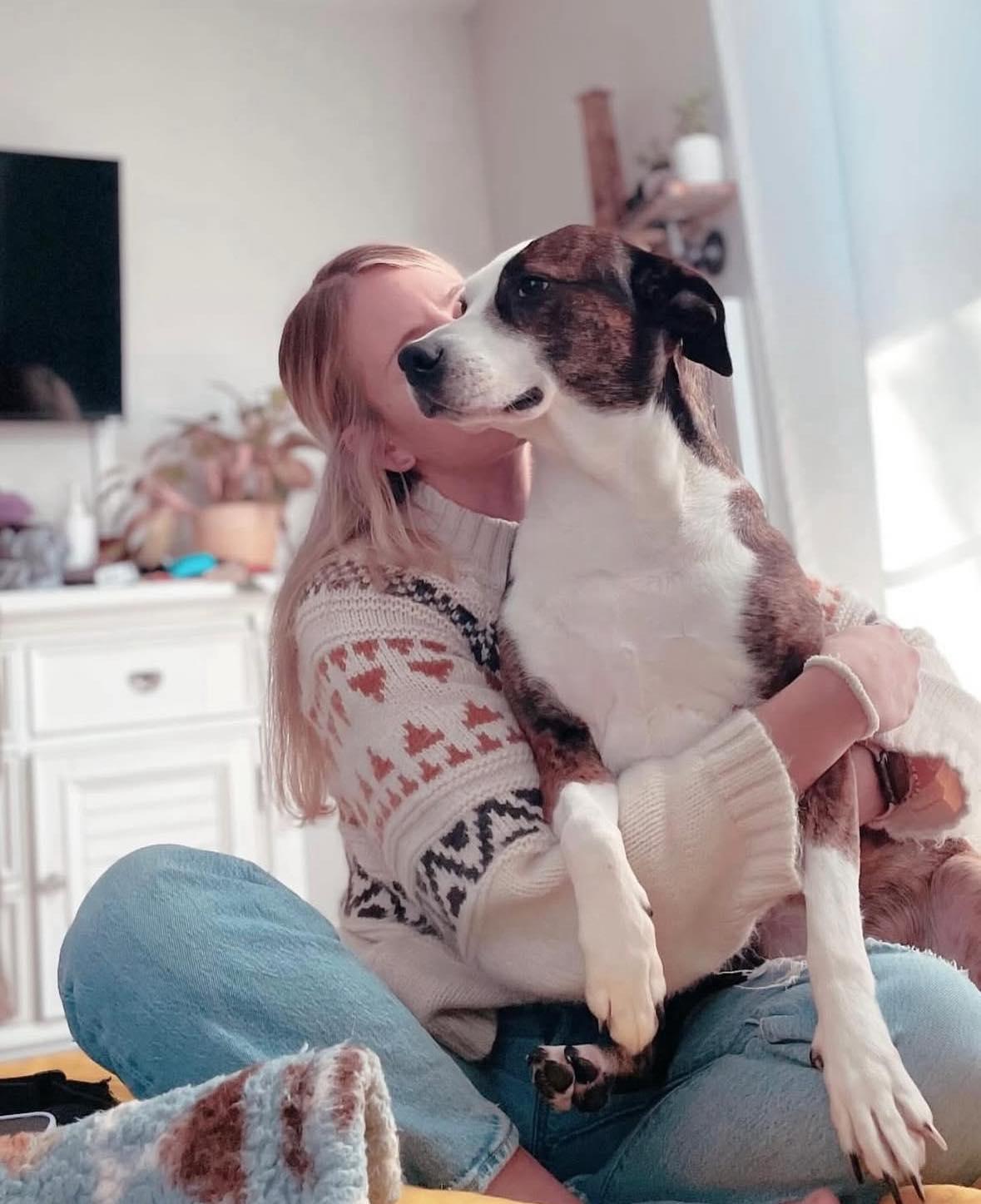 Fiona, ADOPTABLE, Adult Female Hound & Pit Bull Terrier.