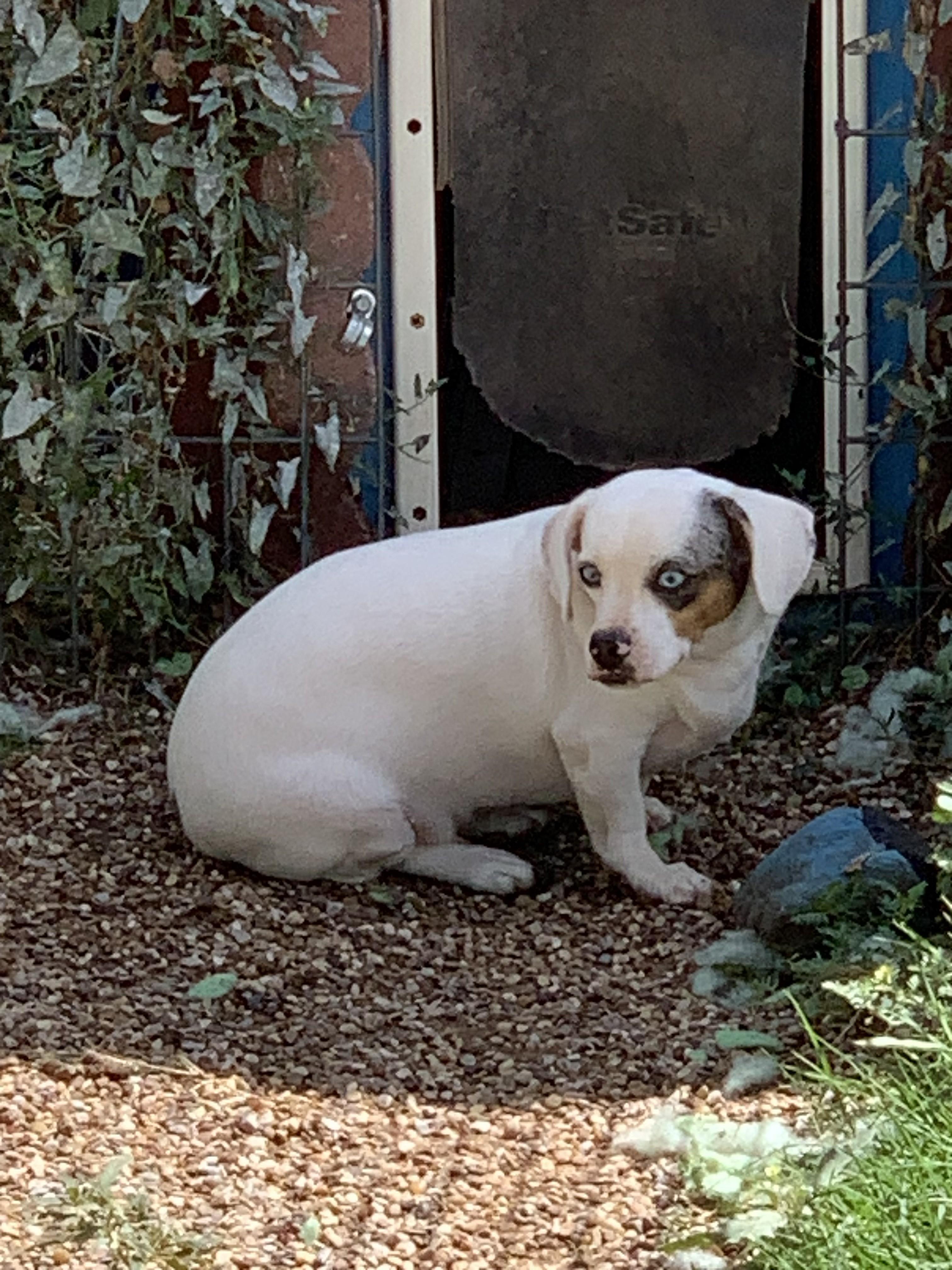 Leonard — thumbnail 2