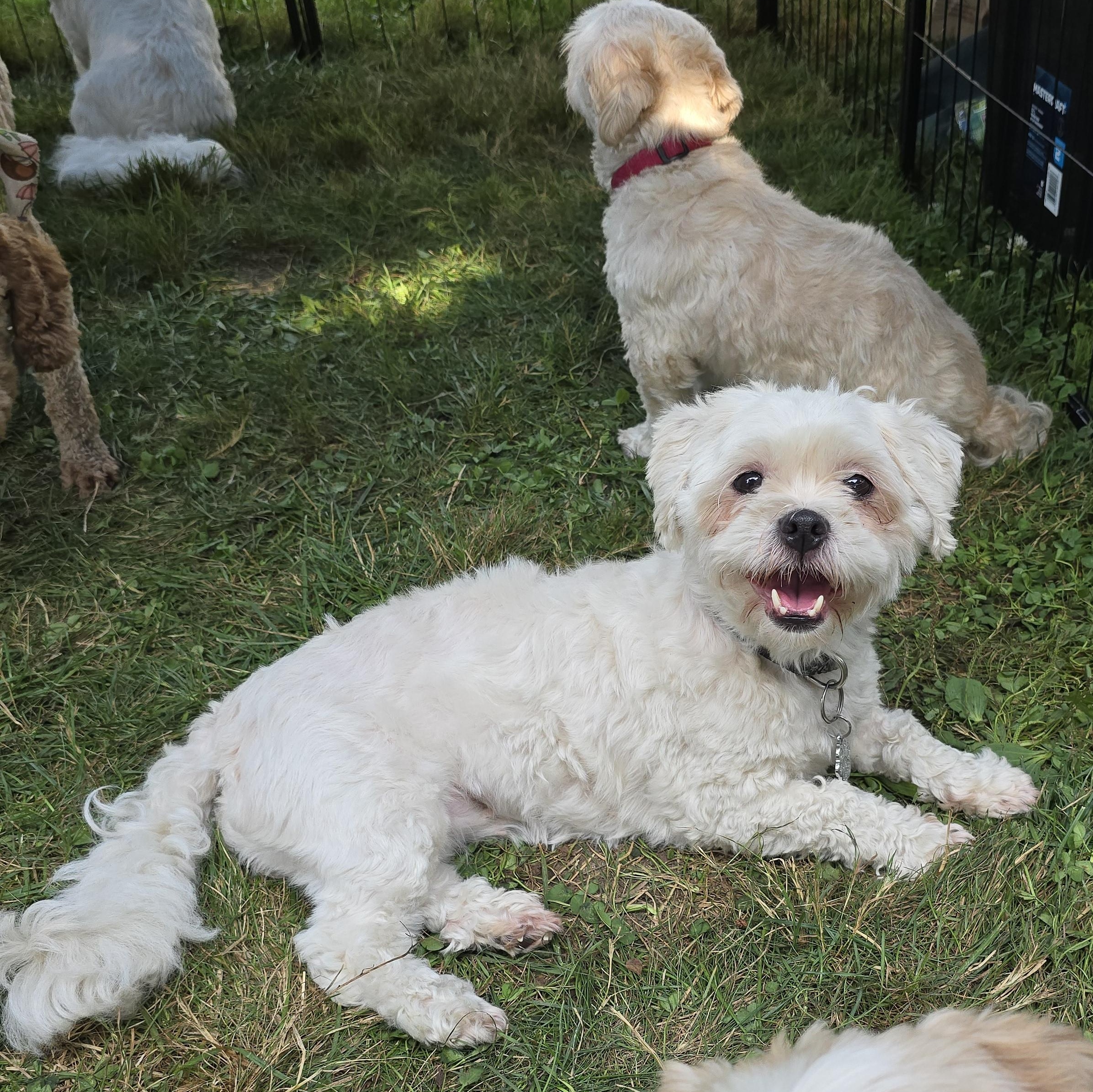 Sandy, born August 30, 2017