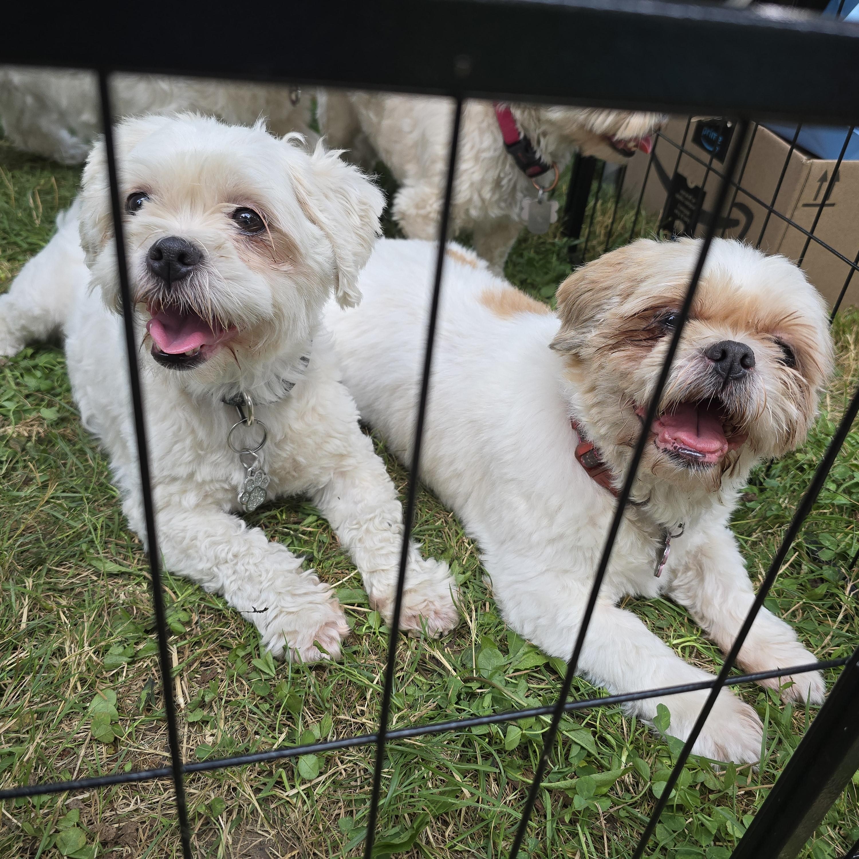 Sandy, born August 30, 2017