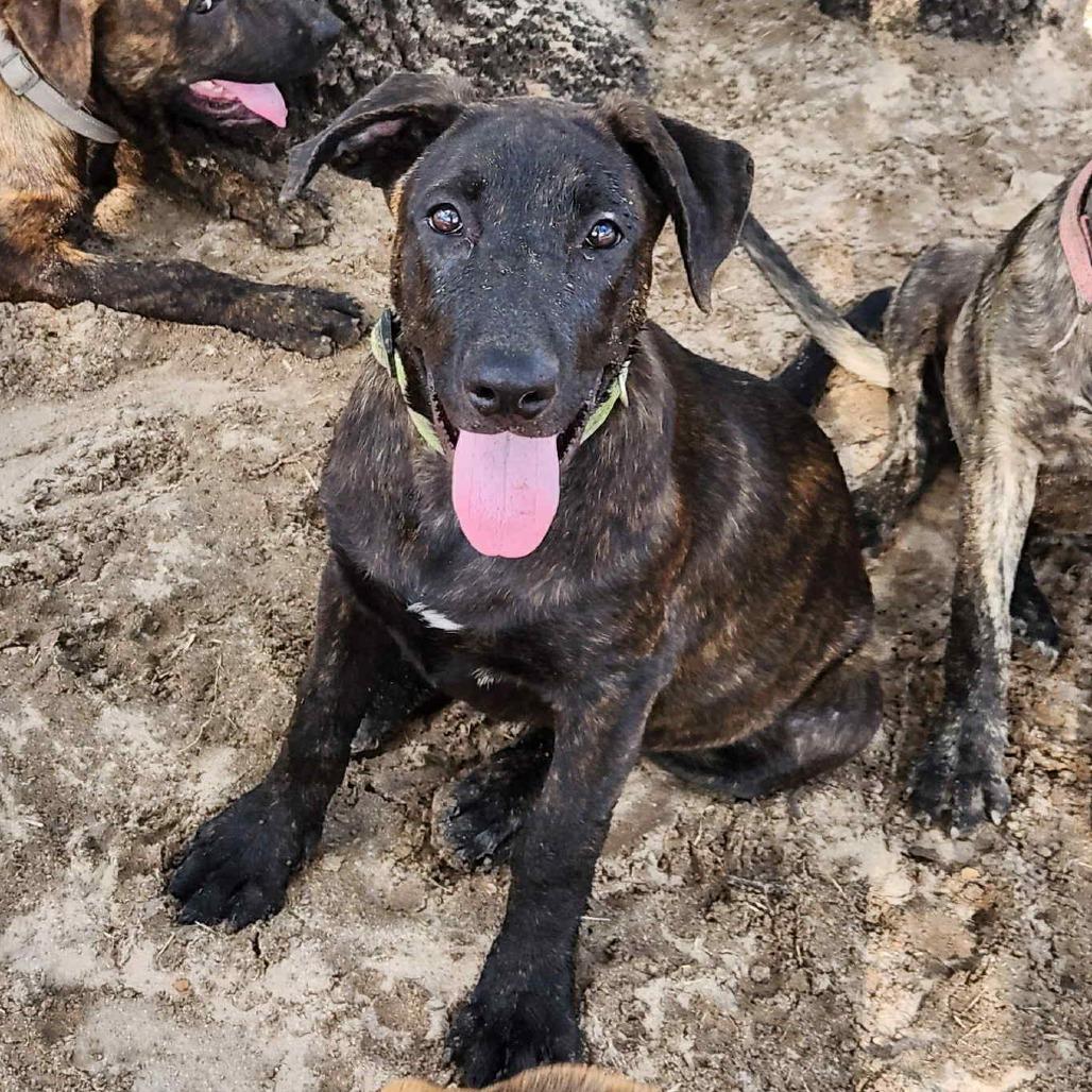 Stan JUM — thumbnail 2