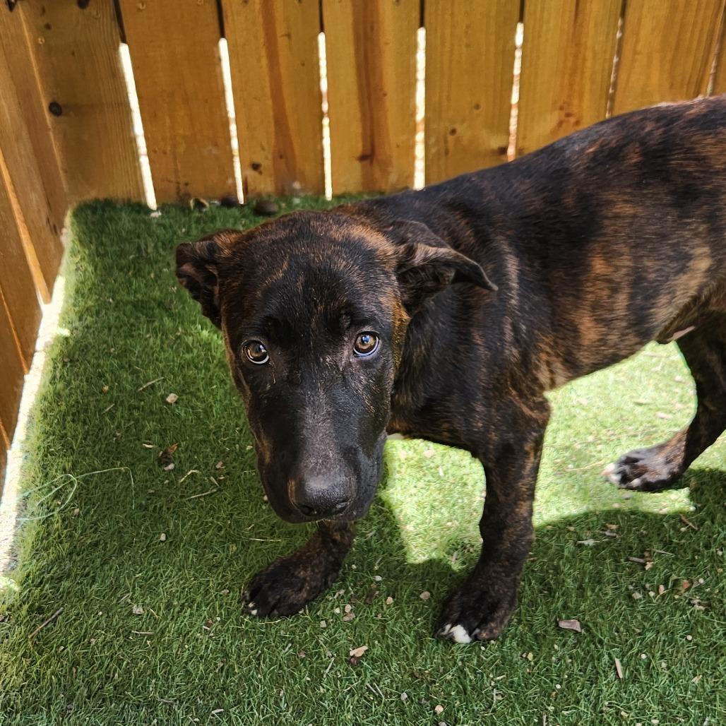 Stan JUM — thumbnail 3