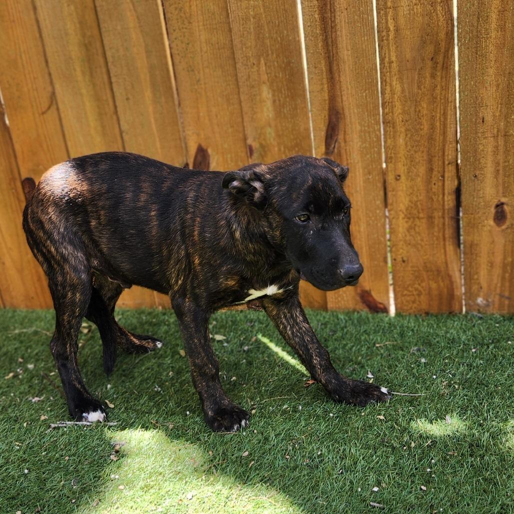 Stan JUM — thumbnail 4