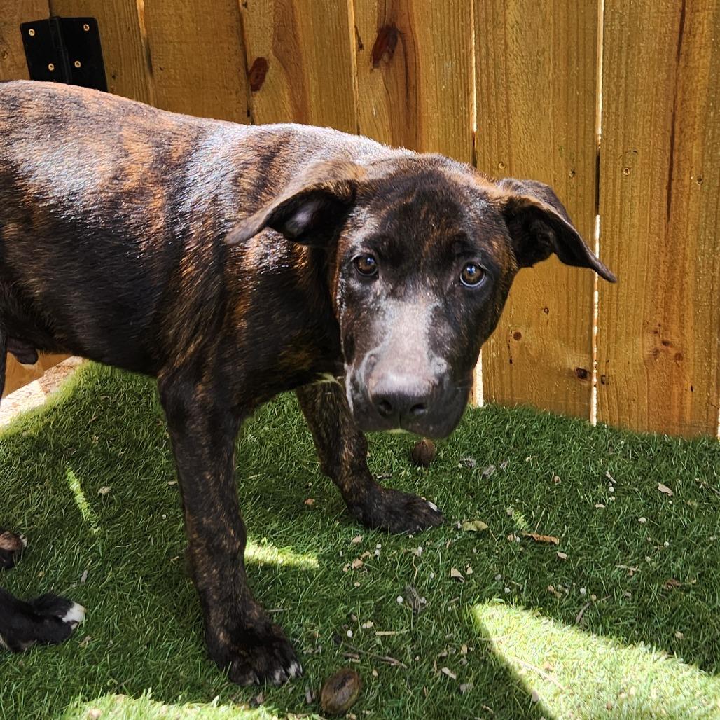 Stan JUM — thumbnail 5