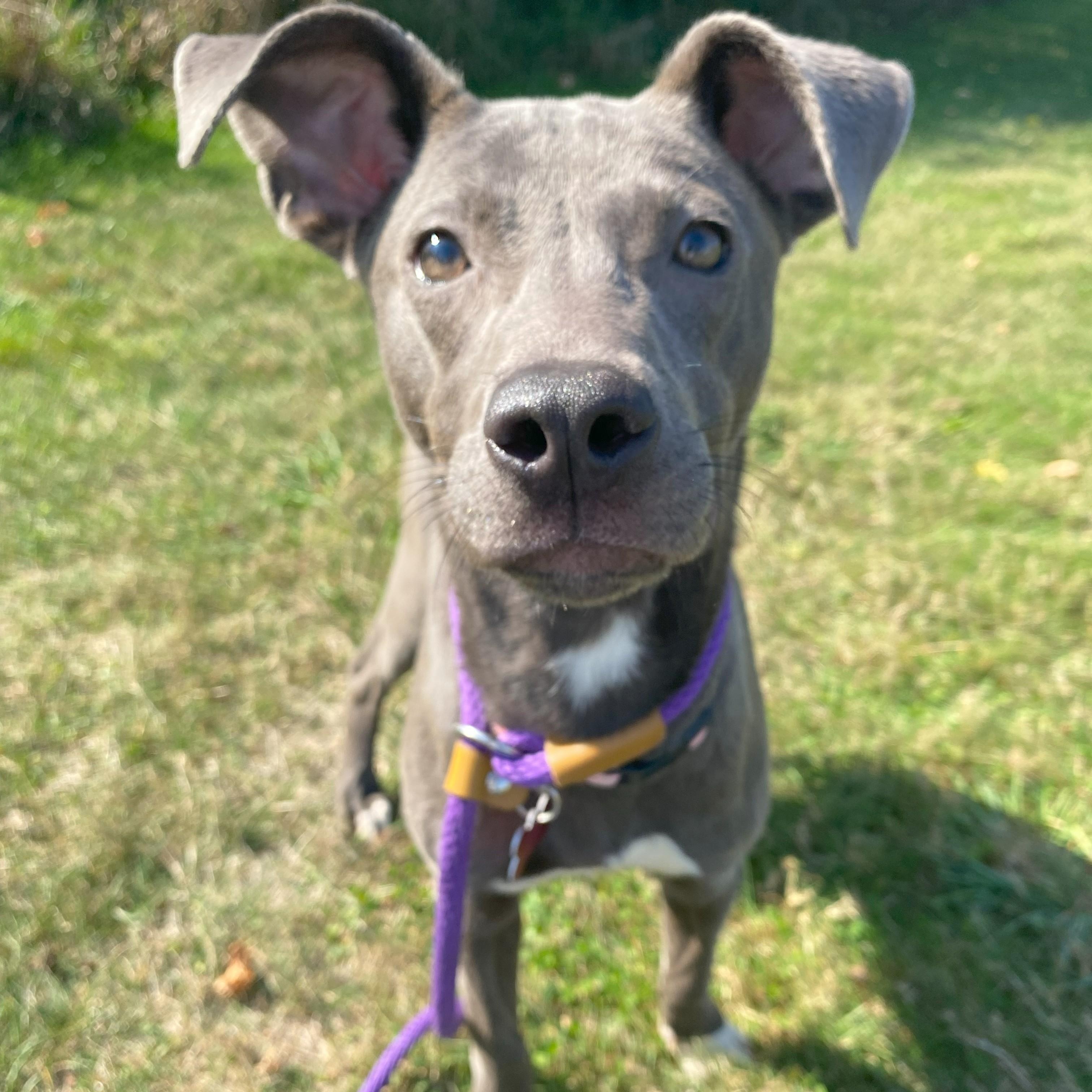 Fiona