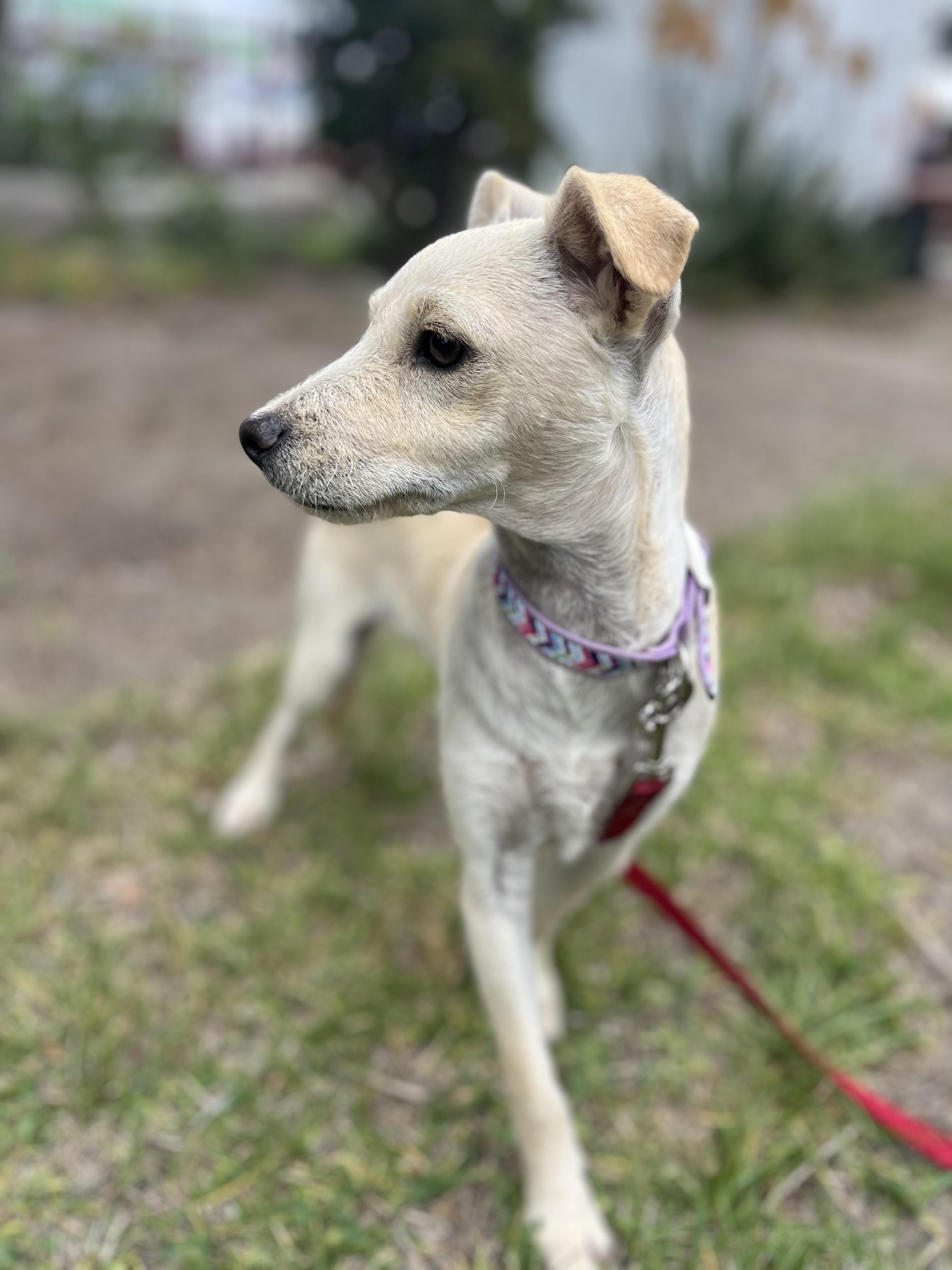 Max