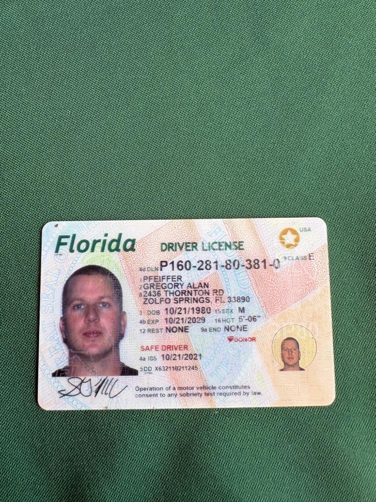 puppy 2, Adopted, Puppy Female Dachshund.