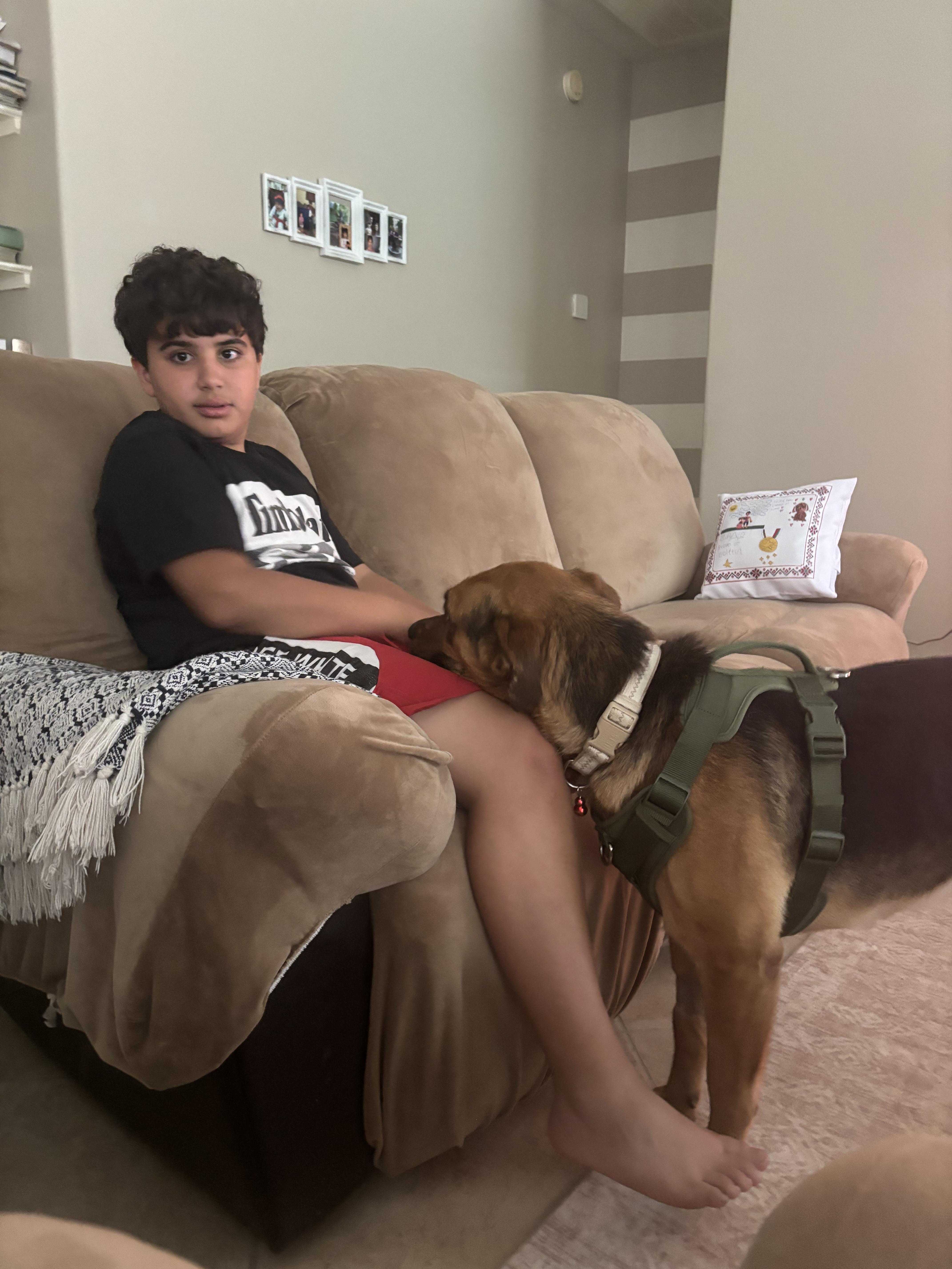 Enlarge Slinky (low maintenance, super friendly, sweet, great with kids, house trained), an adopted mixed breed in Knoxville, TN image 6/6