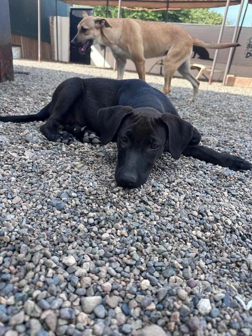 Obi-Wan — thumbnail 5