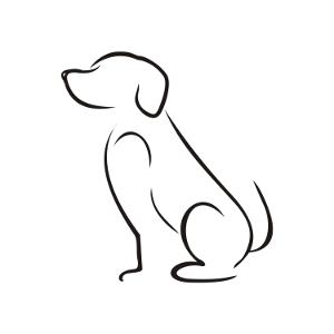 Shania Twain, Adoptable, Puppy Female Great Pyrenees & Mixed Breed.