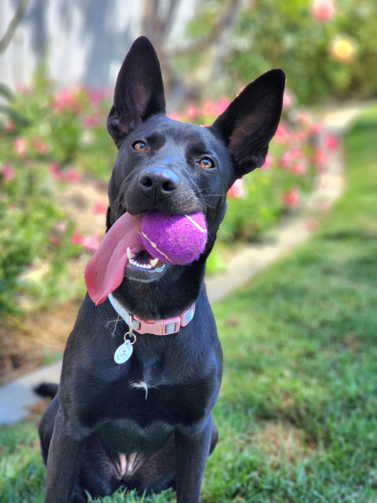 Lilah