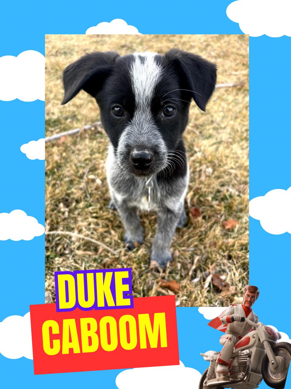 Duke Caboom — thumbnail 3