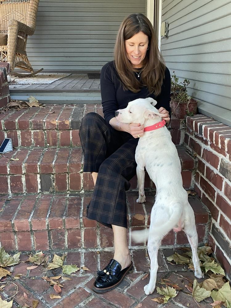 Enlarge Betty White, a Adoptable mixed breed in Sealy, TX image 2/6