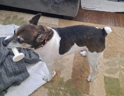 Small Paul thumbnail 2