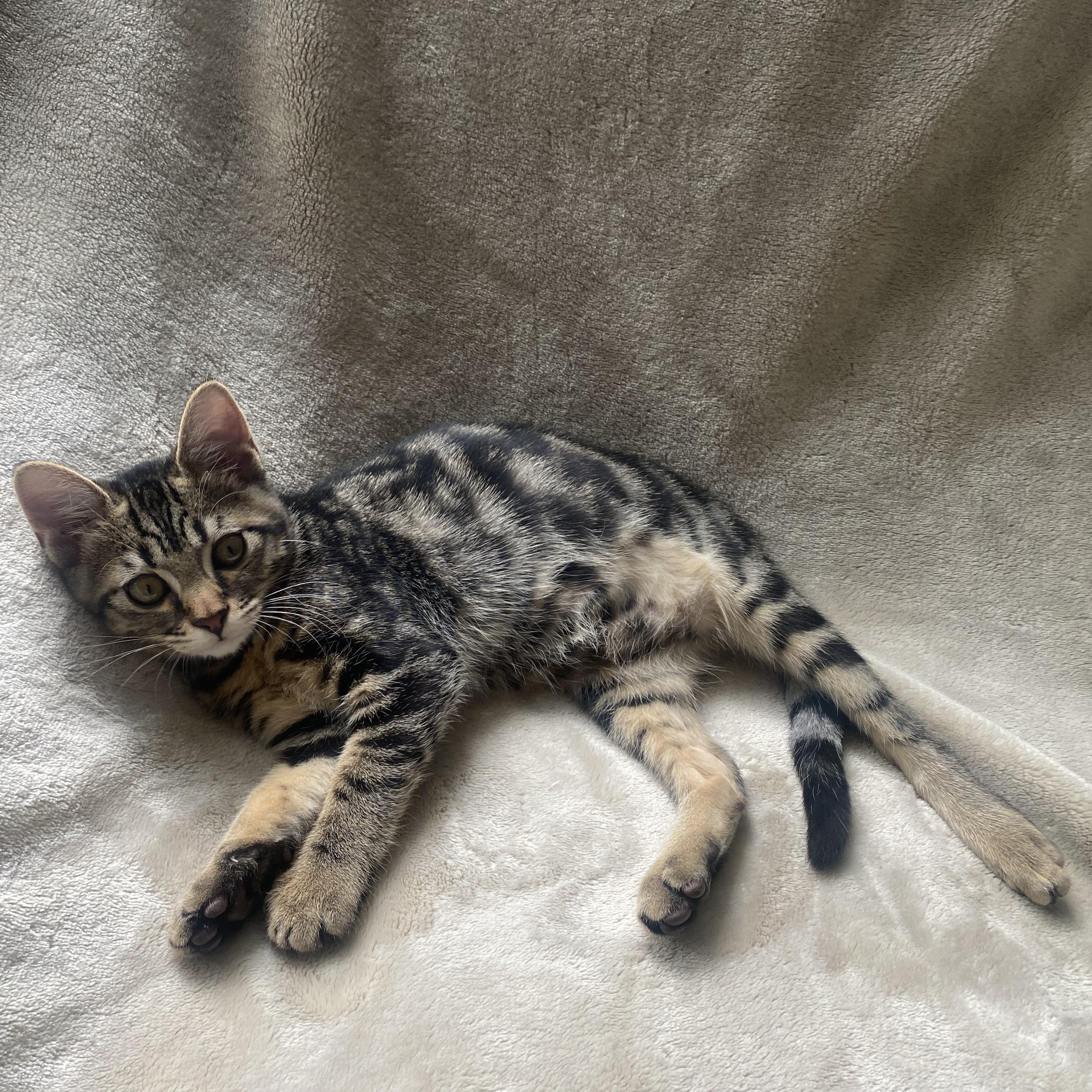 Tina, Baby Female unknown