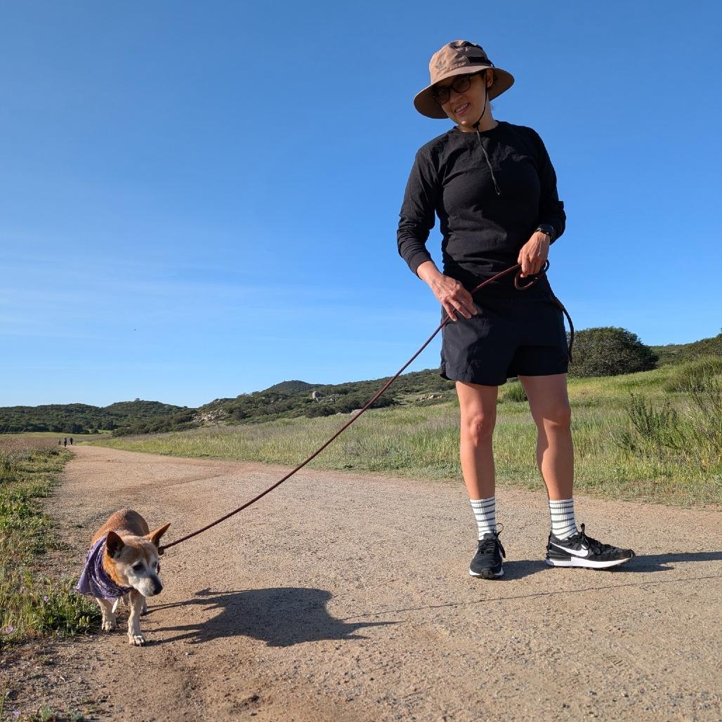 Enlarge Barley, a Adoptable Chihuahua in Ramona, CA image 4/6