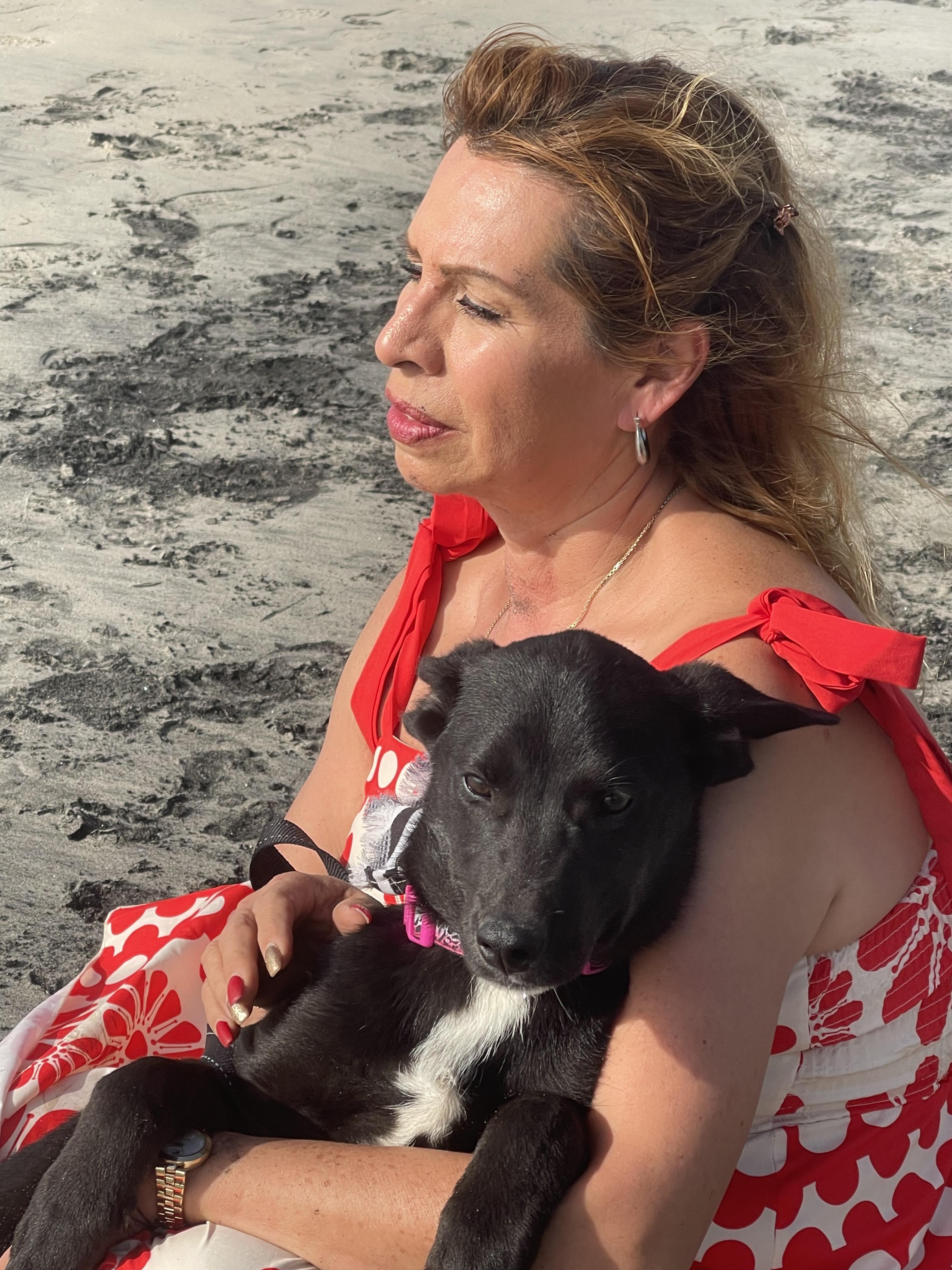 Enlarge TOM HANKS 6 months 22 pounds, a ADOPTABLE mixed breed in Aliso Viejo, CA image 2/5