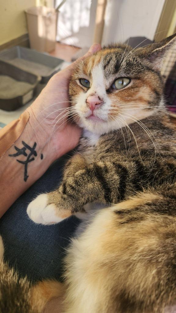 Maggie — thumbnail 5