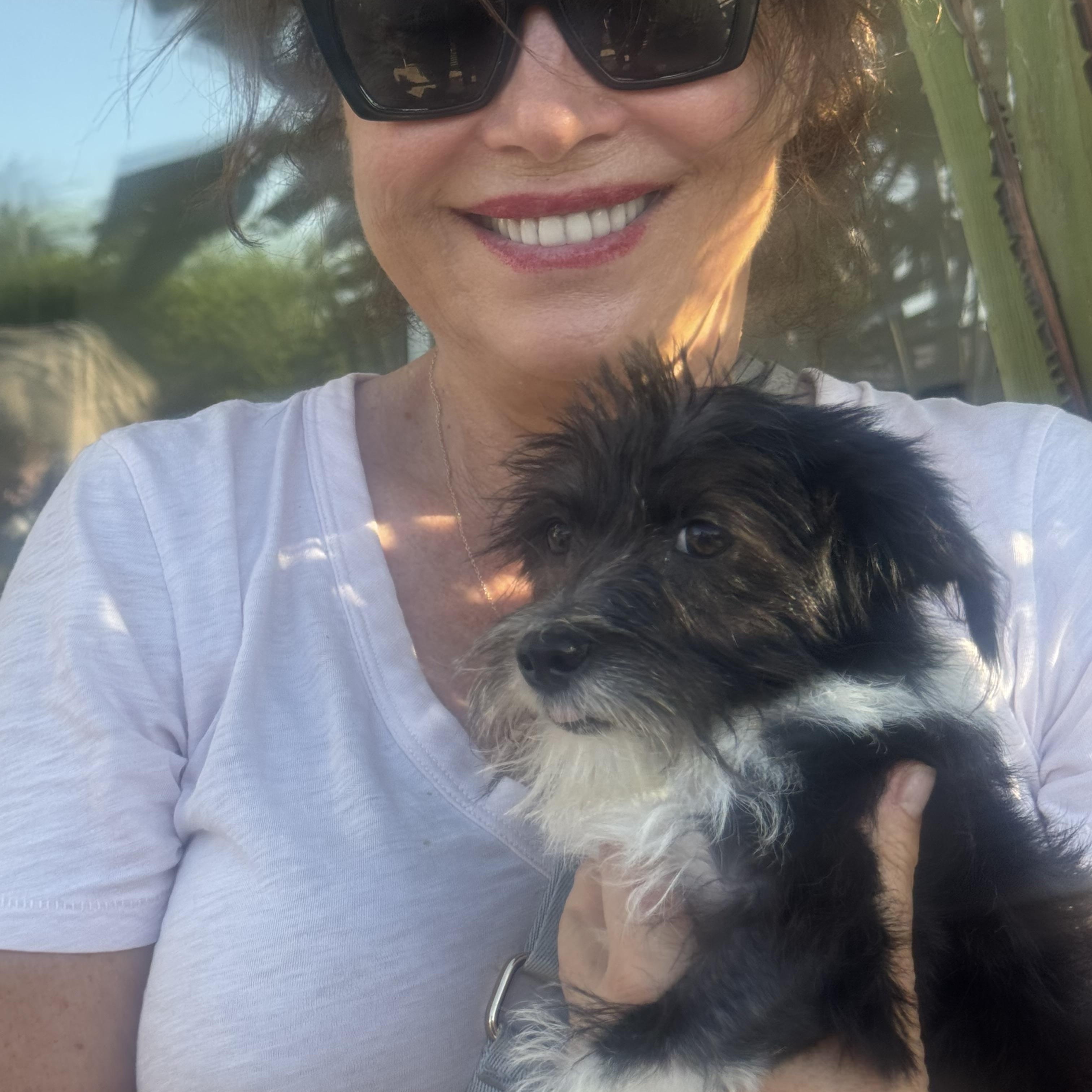 Enlarge GIGI, a Adopted mixed breed in Irvine, CA image 6/6