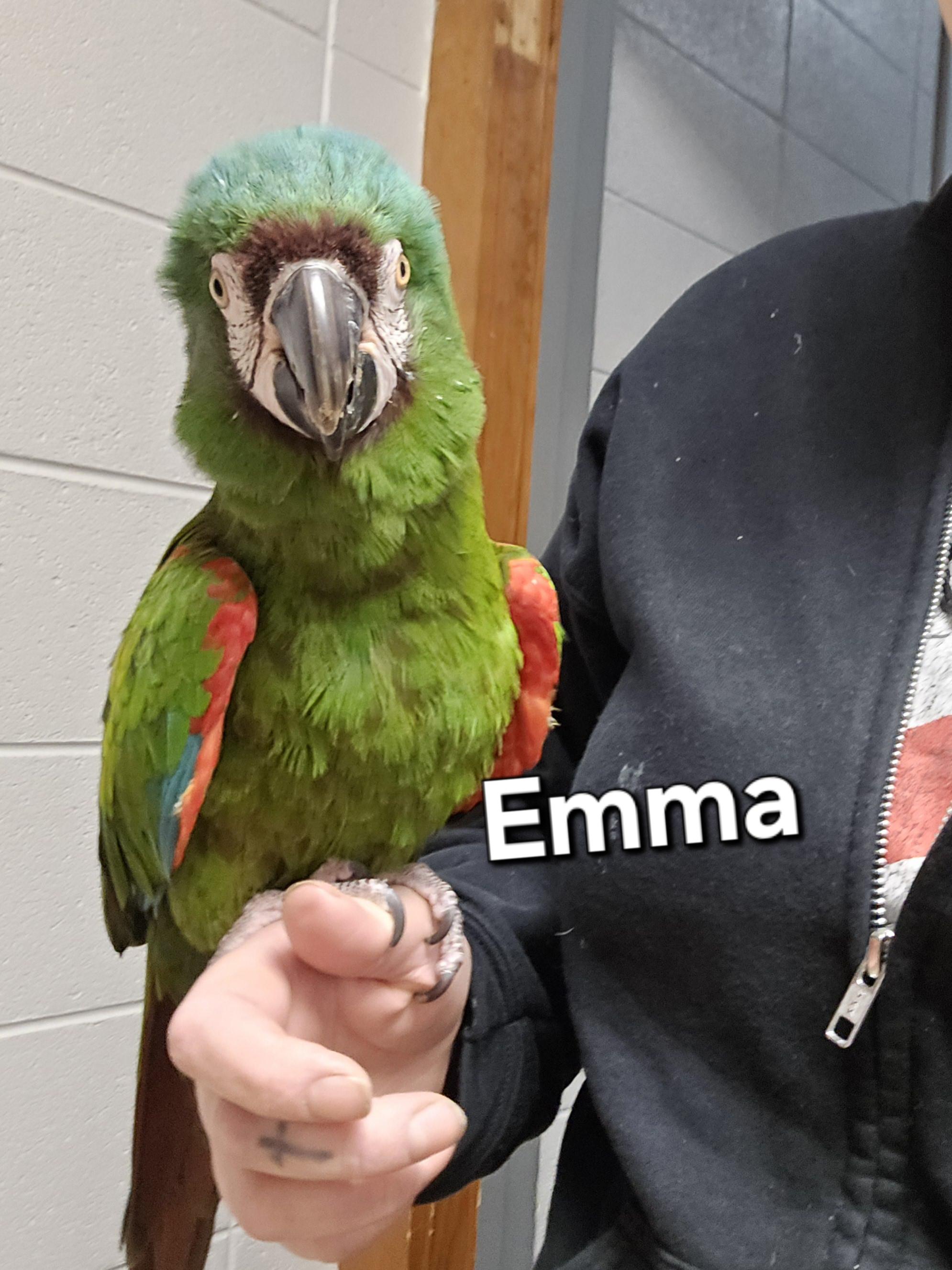 Emma photo 4