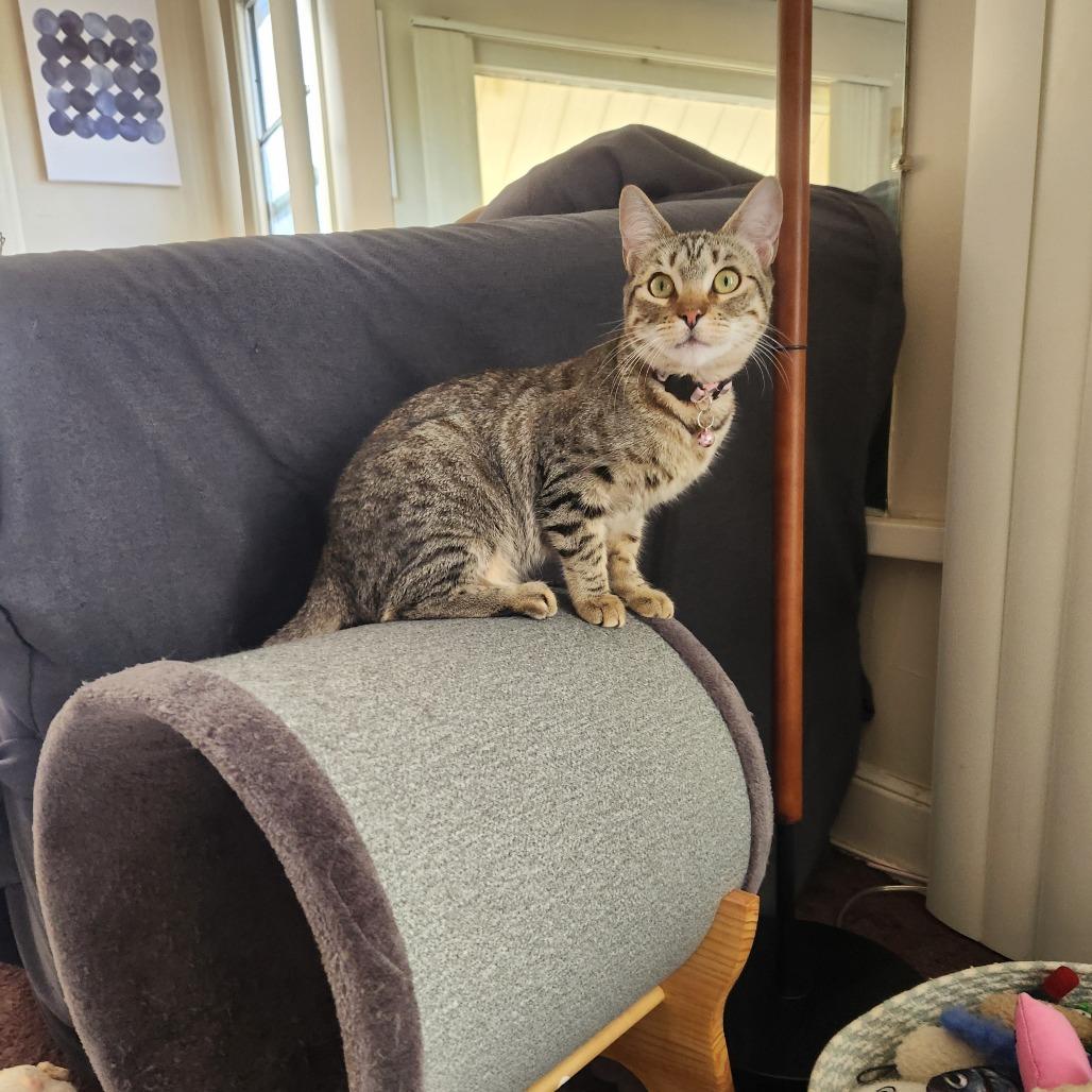 Ella — thumbnail 2