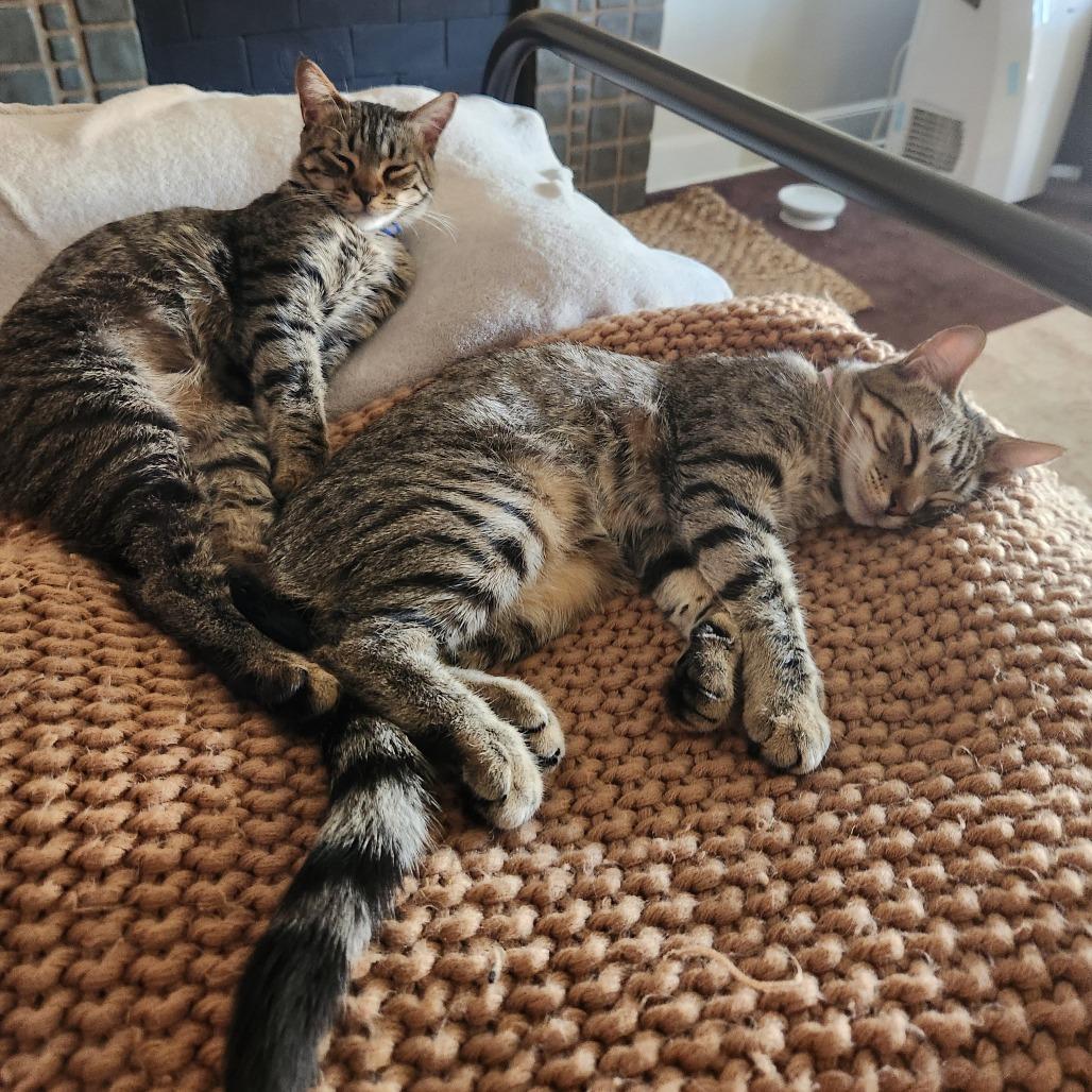 Ella — thumbnail 3