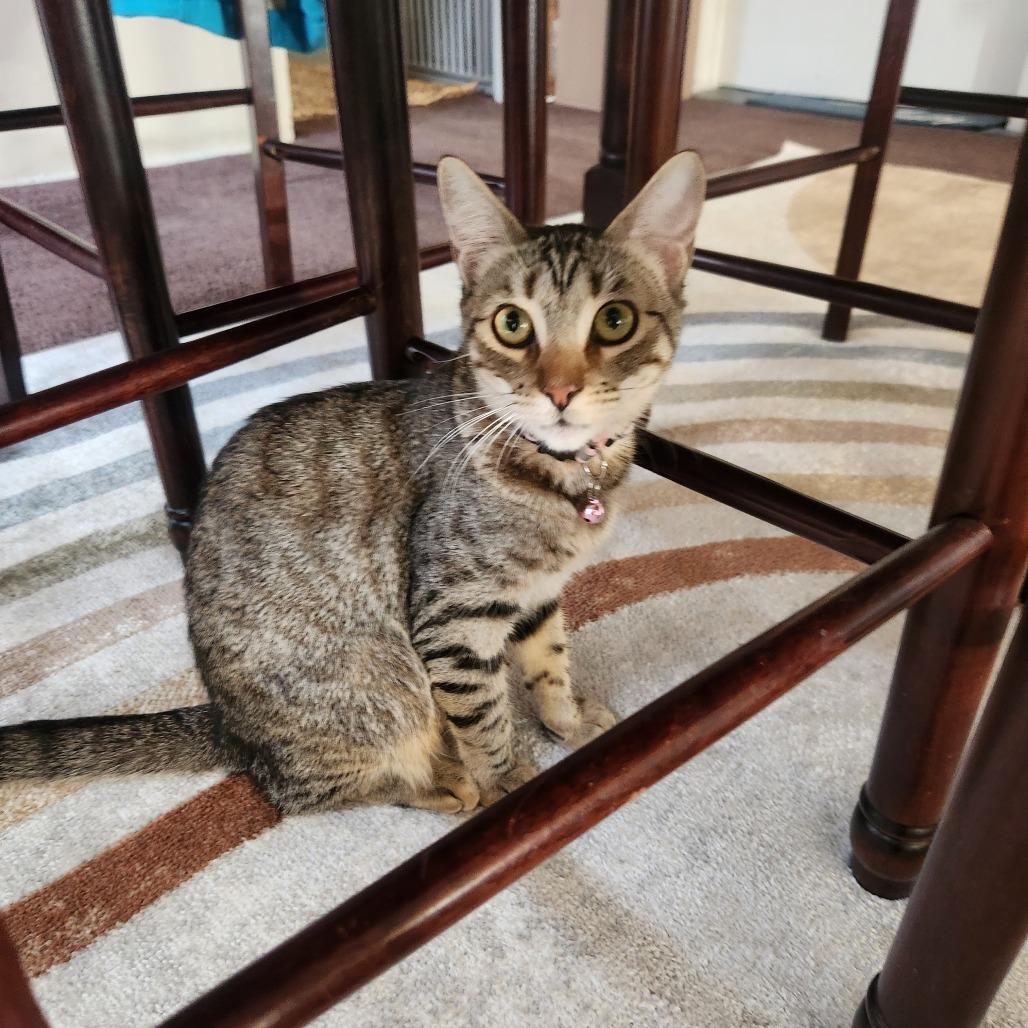 Ella — thumbnail 4