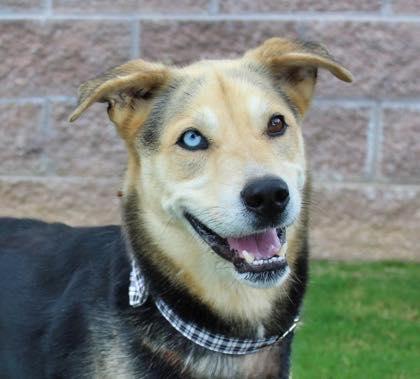 Bob (20251221-01) — thumbnail 2