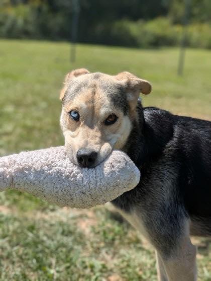 Bob (20251221-01) — thumbnail 3