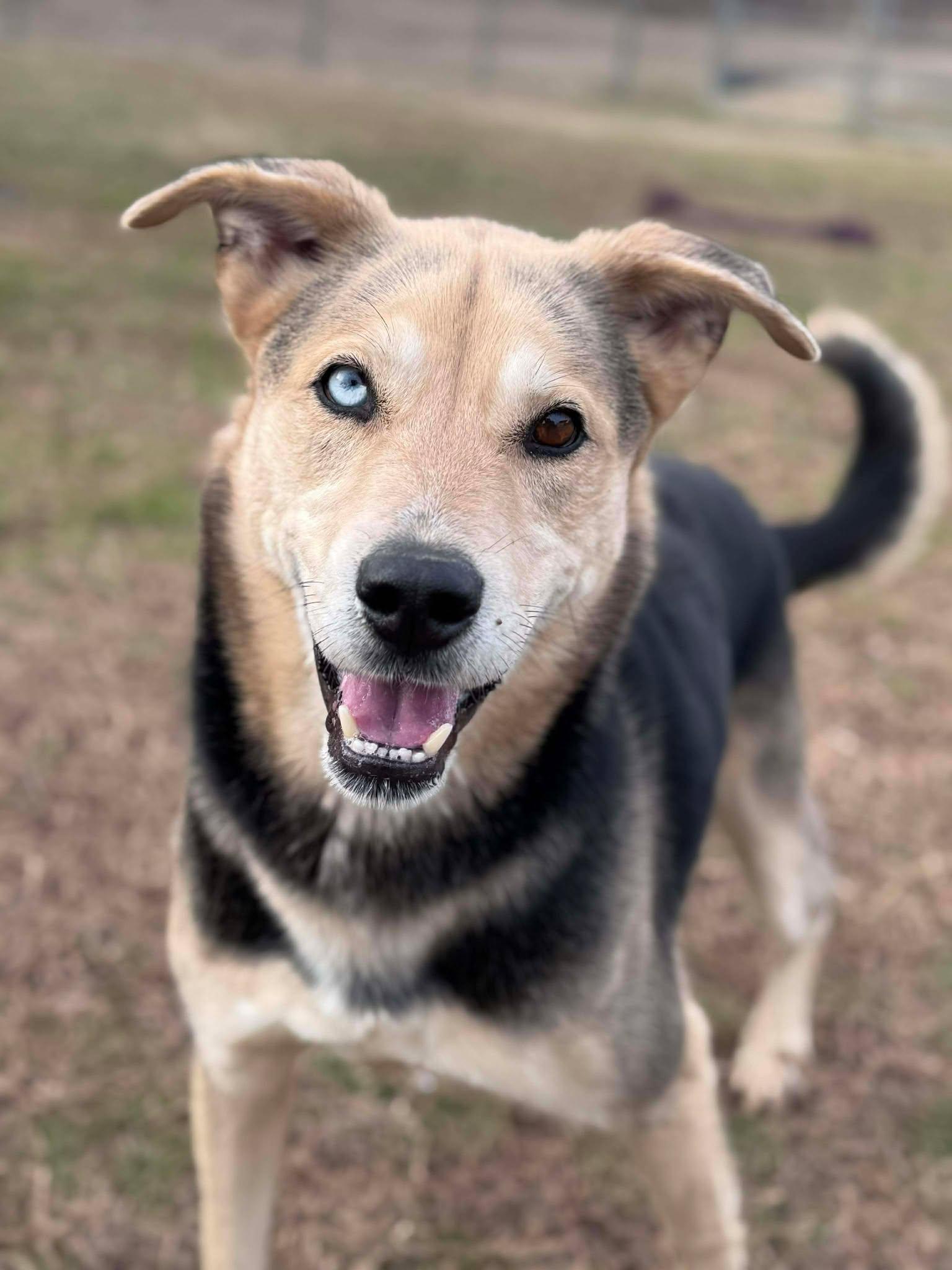 Bob (20251221-01) — thumbnail 4