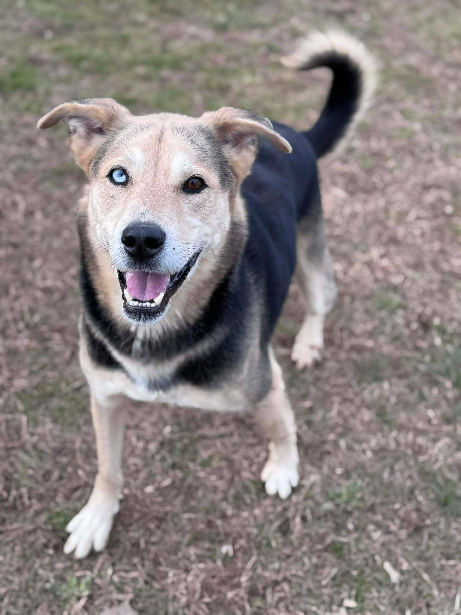 Bob (20251221-01) — thumbnail 5